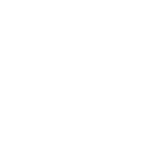 Intro Travel logo